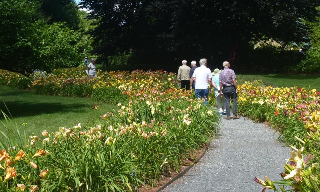 9 Massachusetts Gardens That Naturally Fit Any Itinerary