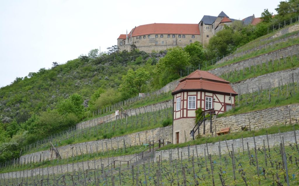 Germany vineyard