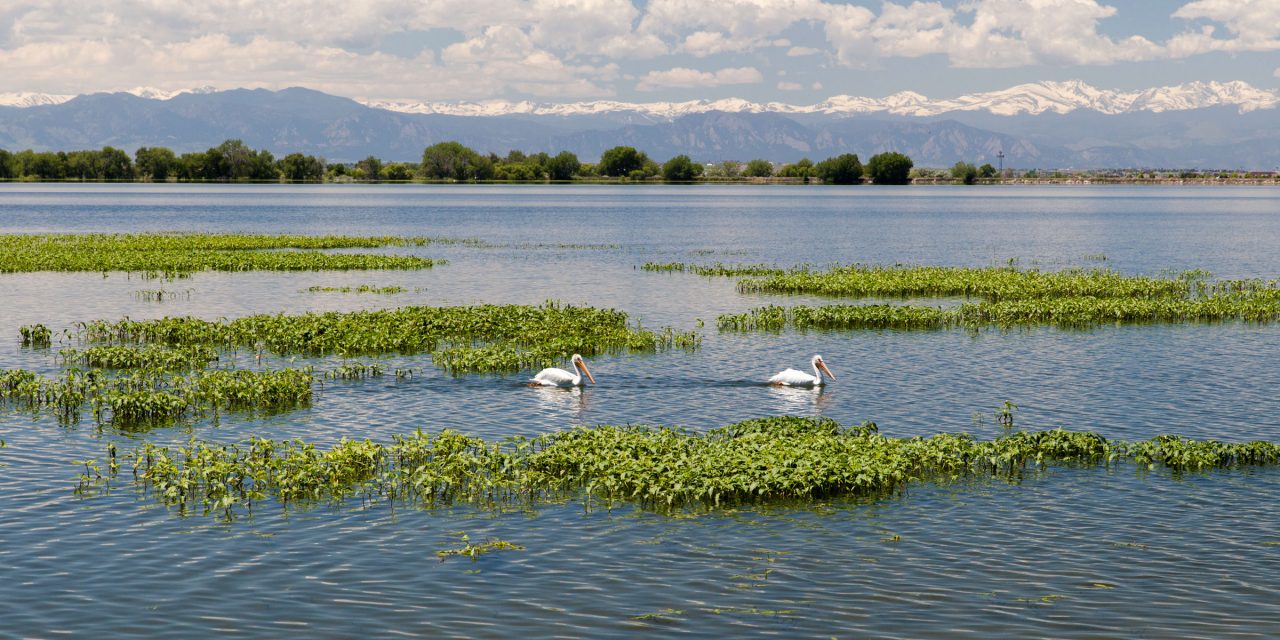 Colorado State Parks Offer the Best in Outdoor Experiences