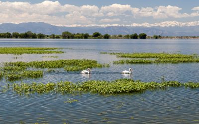 Colorado State Parks Offer the Best in Outdoor Experiences