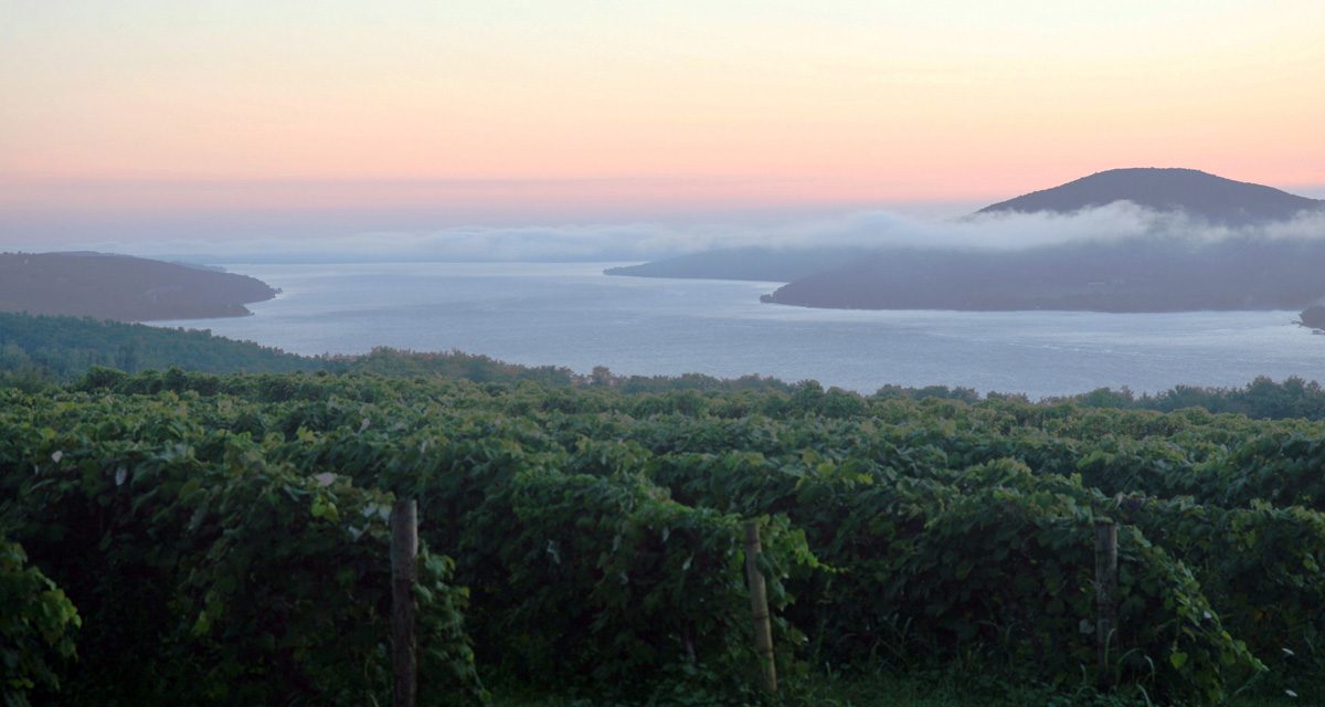 Finger Lakes Wine Trails