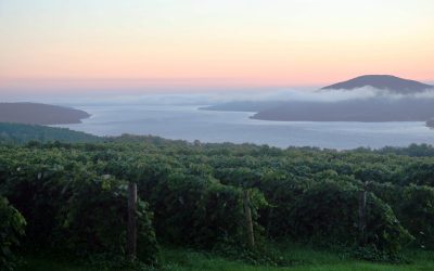 Finger Lakes Wine Trails