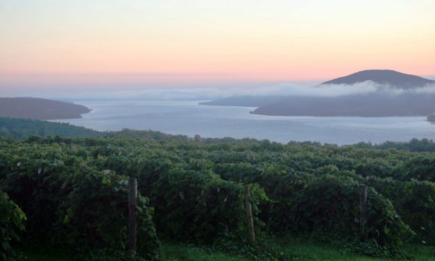 Finger Lakes Wine Trails
