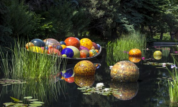 Visual Art is Right at Home in the Blue Ridge