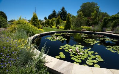 Colorado Botanical Gardens: Tips and Top Picks