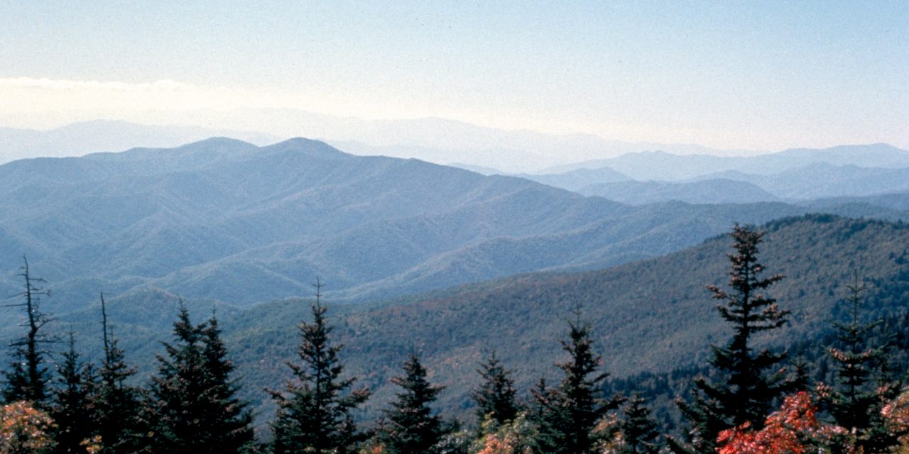 Visitors Damaging the Great Smoky Mountains National Park – Be Part of the Solution