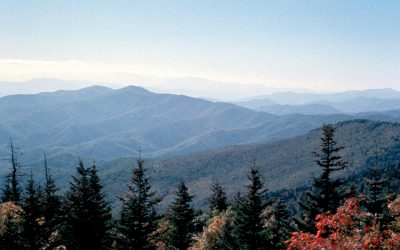 Visitors Damaging the Great Smoky Mountains National Park – Be Part of the Solution