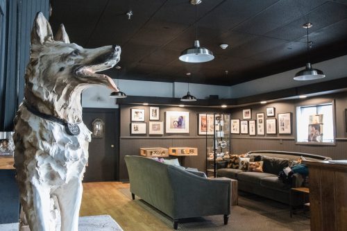 Museum of Dog