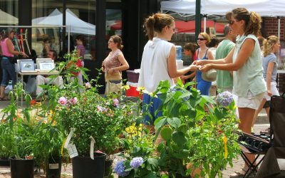 10 Most Unique Shopping Experiences in Lincoln NE