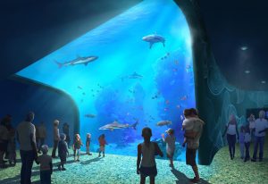 New on the list of Missouri aquariums is the St. Louis Aquarium