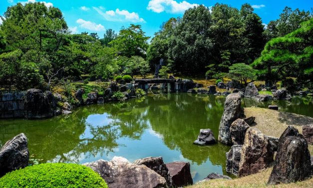 Making the Most of South America’s Natural World