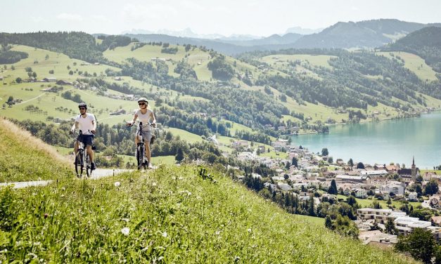 6 Reasons Groups Love the Swiss Travel System