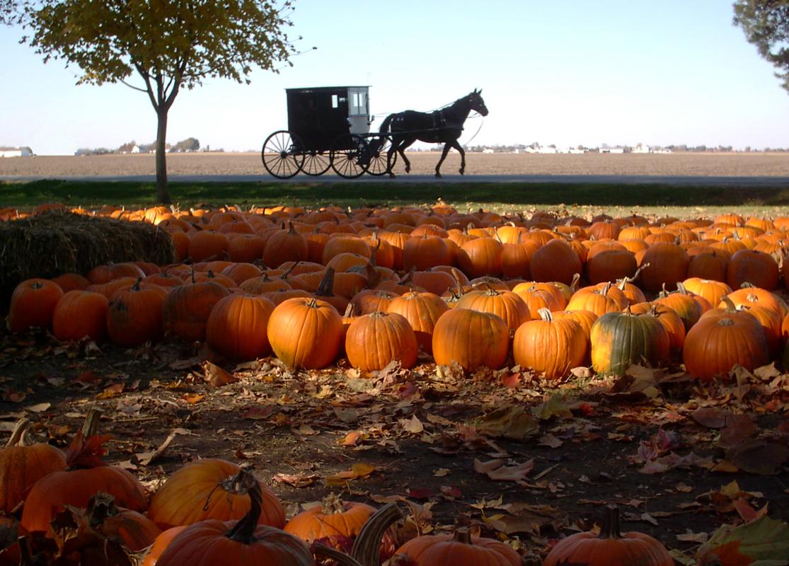  Amish Country