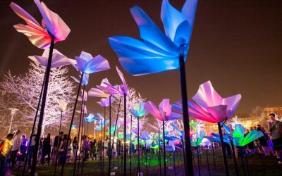 7 Maryland Festivals