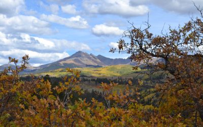 Surprises Await Groups in Colorado’s Mesa Verde Country