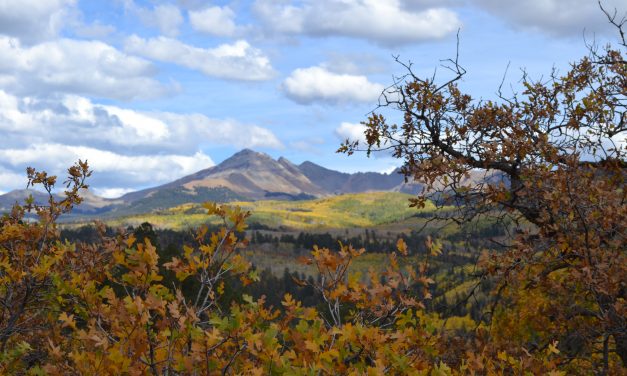 Surprises Await Groups in Colorado’s Mesa Verde Country