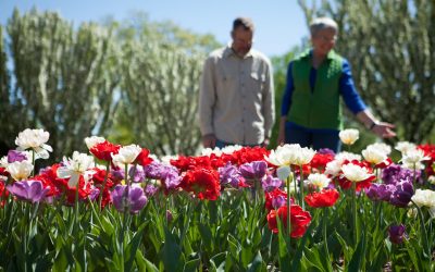 Soft Adventures: Gardens and State Parks