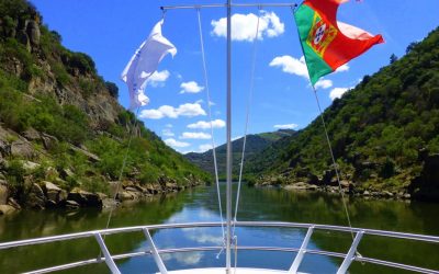 Douro River Cruises in Portugal With CroisiEurope