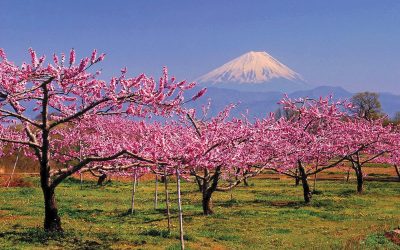 What’s Behind A&S Journeys: 8 Questions Answered