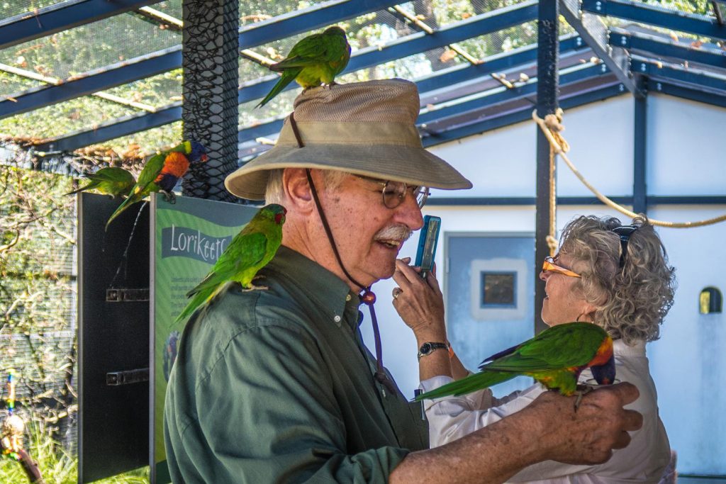 Turtle Bay Exploration Park