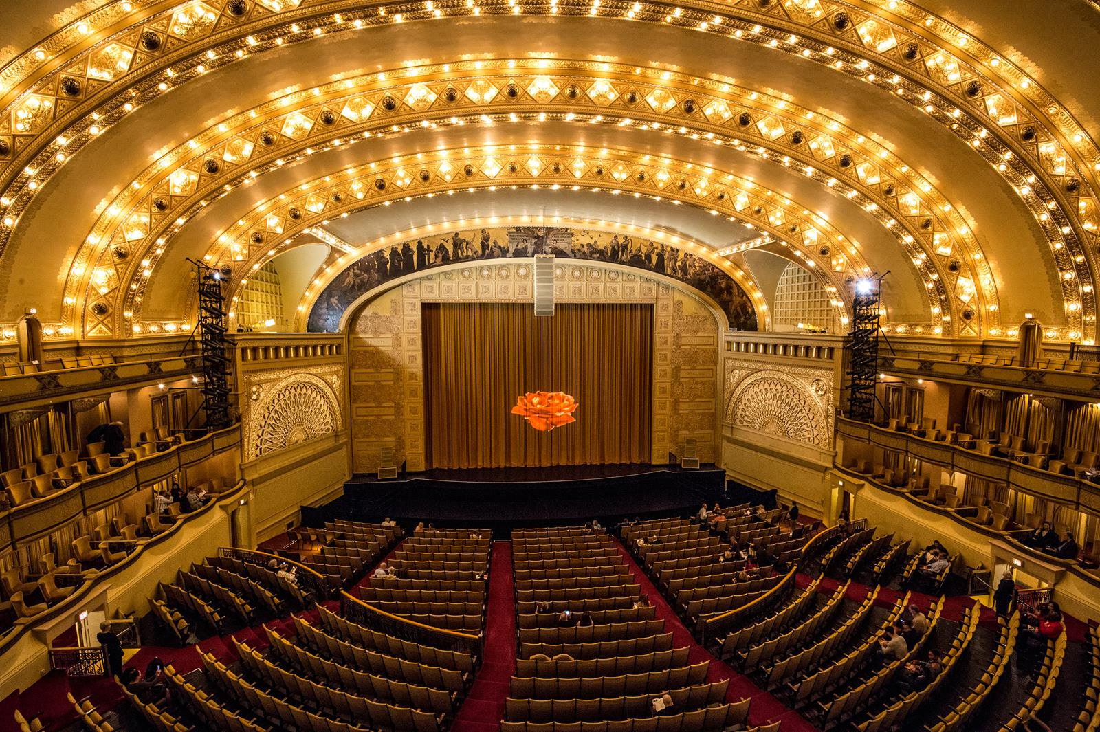 Adult theater chicago