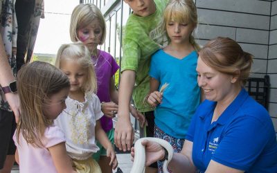 Bridging Generations in Illinois Through Travel