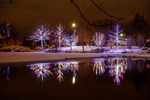 Wellfield Botanic Gardens Winter Wonderland Holiday Lights