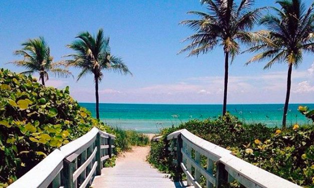 Hidden Gems in the Fort Myers, Florida Area