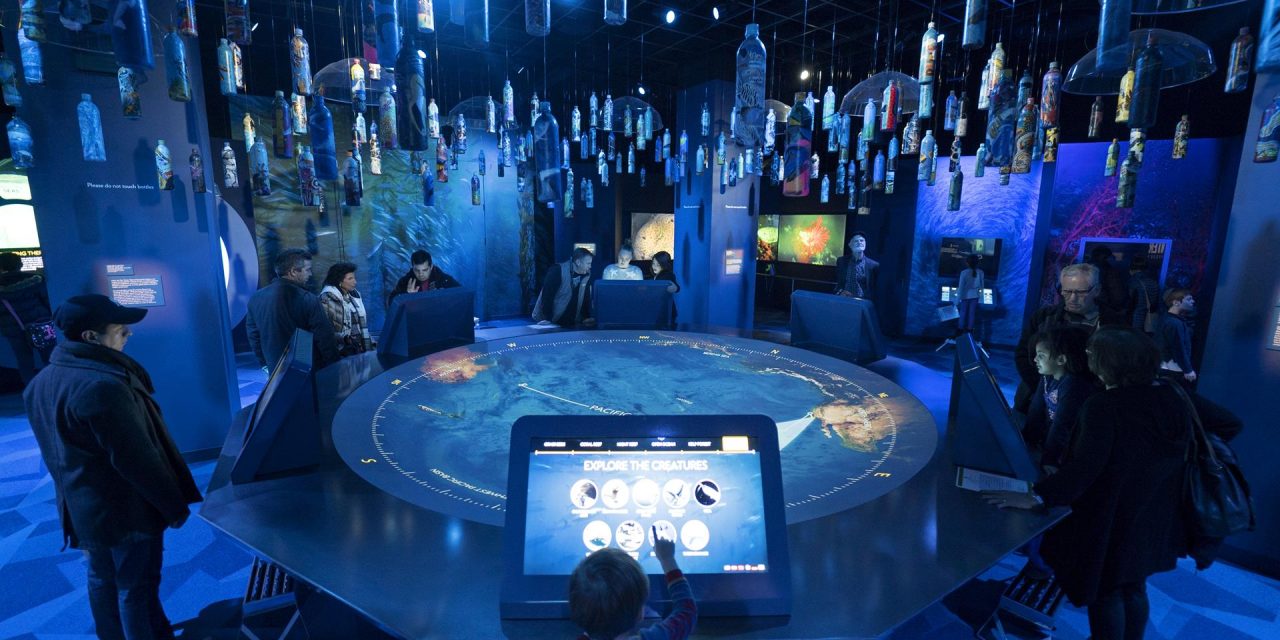 Museums Step into the Digital Era
