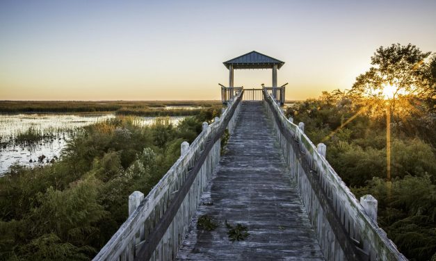 Unique Group-Friendly Louisiana Attractions