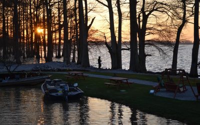 A Camping Guide for Beginners