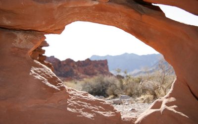 From Vegas To Vistas