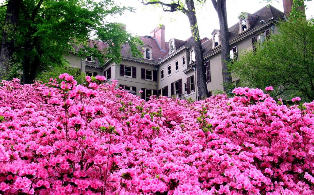 Winterthur Mansion Library and Gardens Credit VisitDelaware