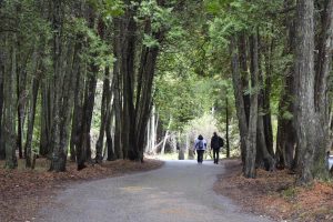 Hiking trails on Mackinac Island are popular