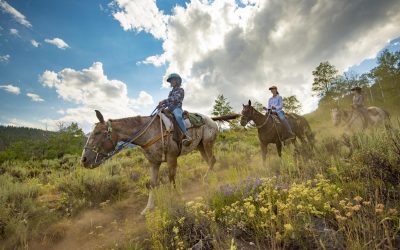 Chase Adventure in the Idaho Outdoors