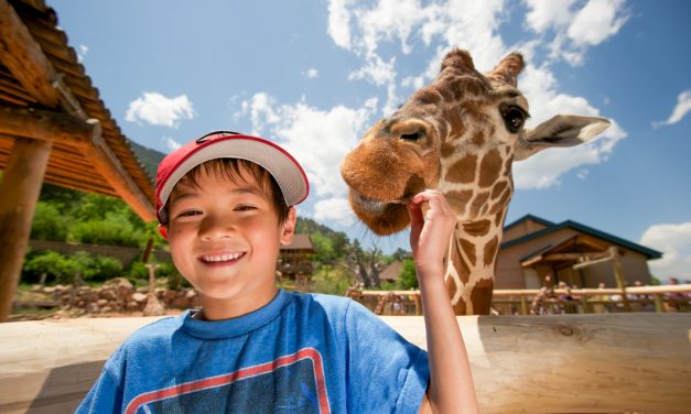 Outdoor Itinerary in Colorado Springs