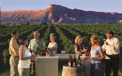 Delightful Sampling in Colorado Wine Country