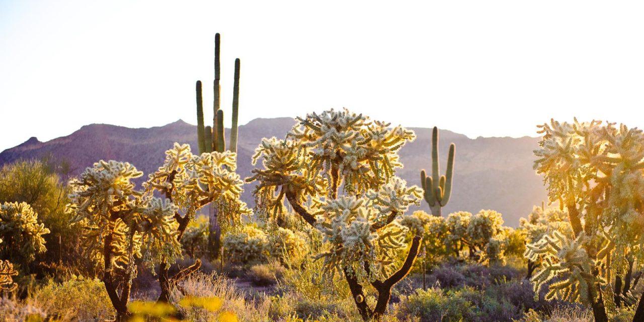 An Unforgettable Journey: Exploring Arizona