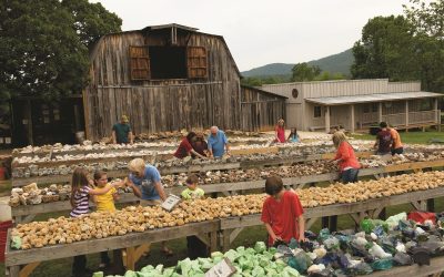 Hot Springs and Diamond Mines in Arkansas Among Hidden Gems