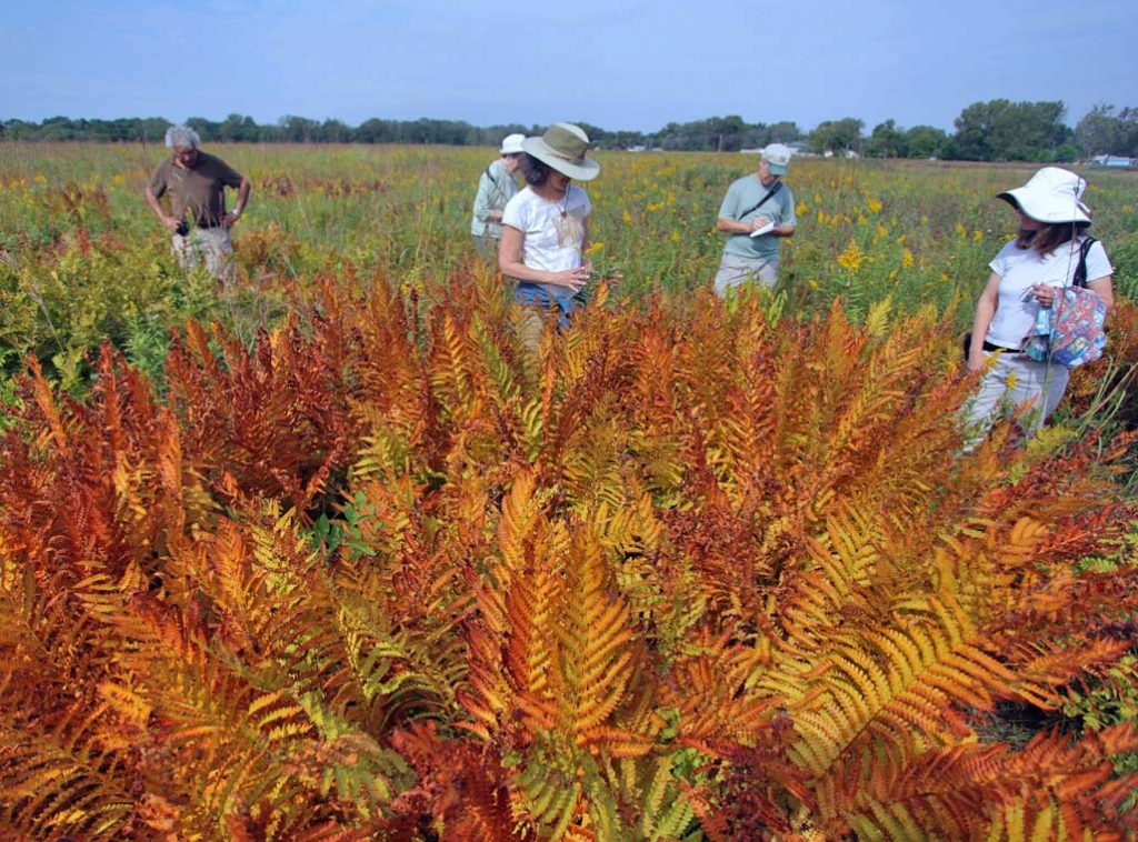 Indian Boundary Prairies