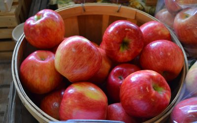 Open The Door to Wisconsin’s Door County