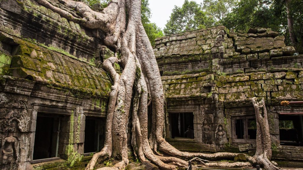 Angkor Ta Prohm Temple