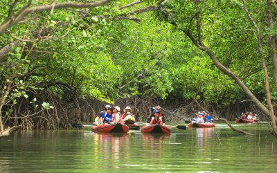 Ecotourism Destinations Around the World