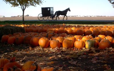Illinois Amish Country & Beyond