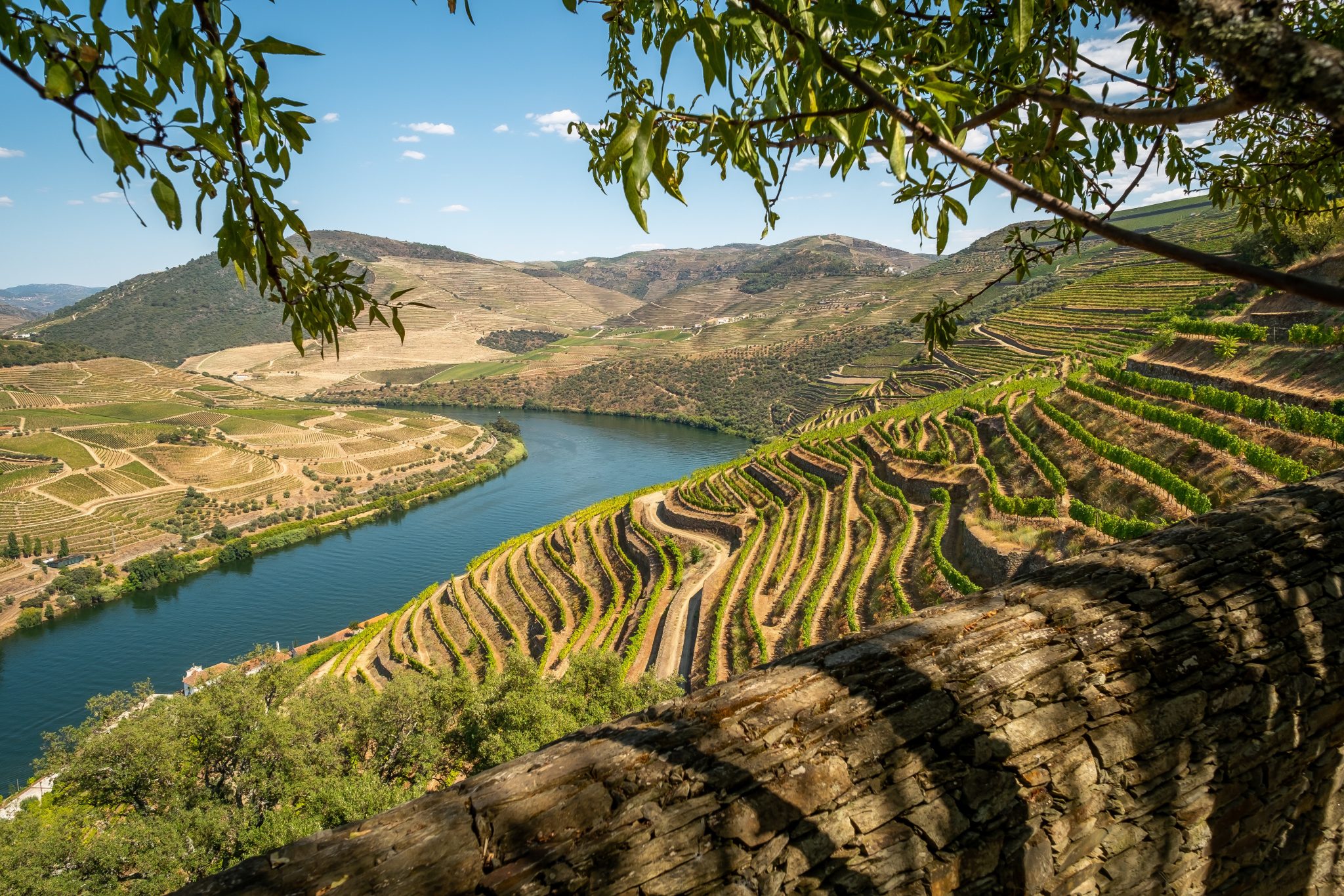 portugal wineries to visit