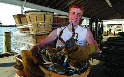 Relish in the Groaning Board That is Chesapeake Bay