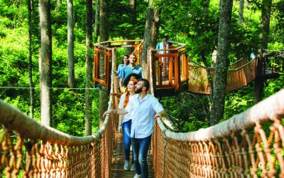 Here We Grow Again in Gatlinburg and Beyond