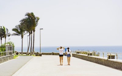 Uncovering the Seven Main Canary Islands