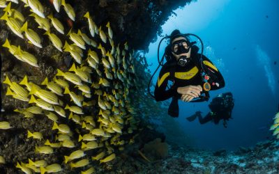4 Types of Travel Adventures That Transcend the Ordinary