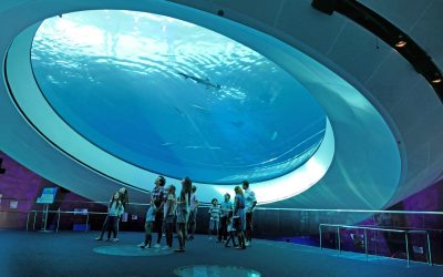 Group Guide to Museums in 2020